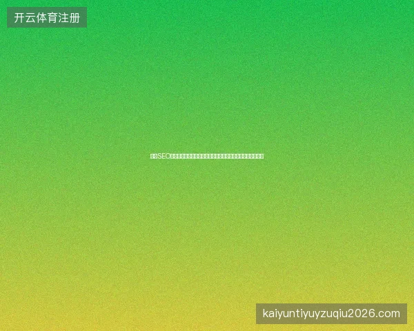恩施SEO如何快速提升排名？快排软件与关键词优化大师哪个更有效？